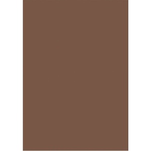  Цветен картон Papicolor A4 270 g/m2 10 л. Кафяв (A4 270)