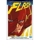 Flash 1: Když blesk udeří dvakrát brož.