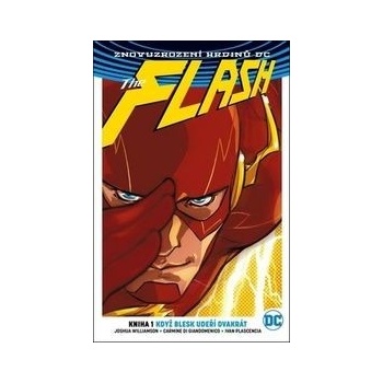 Flash 1: Když blesk udeří dvakrát brož.