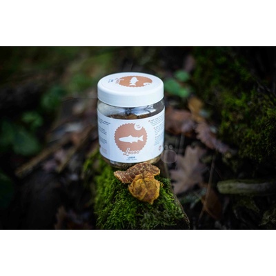 Raw Raw pochúťka mrazom sušené mäso z Lososa 110 g