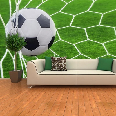 Sablio Tapeta Futbalová lopta v bráne, rozmery 336x220 cm
