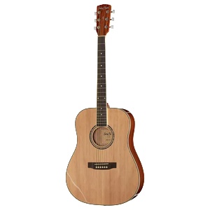 Harley Benton D-120NT