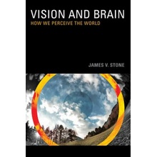 Vision and Brain Stone James V. The University of Sheffield