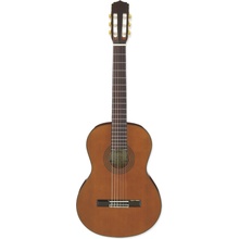 Aria A-20
