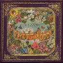 Panic At The Disco - Pretty.Odd CD