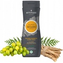 Attitude Super leaves pánsky šampón & telové mydlo normálne vlasy 473 ml