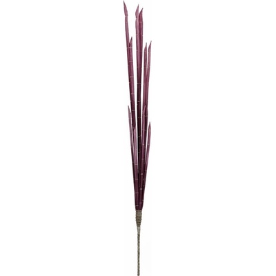 Stonky cibule růžové, 134cm