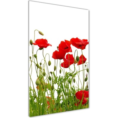 Vertikálny foto obraz sklenený Polné maky 50x100 cm