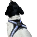 Reedog svietiace postroje pre veľké psy