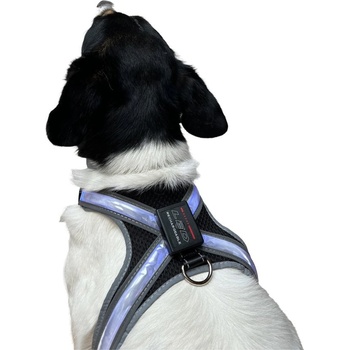 Reedog svietiace postroje pre veľké psy