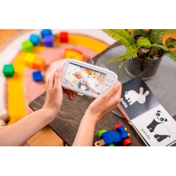 Image 1 of TrueLife NannyCam R5