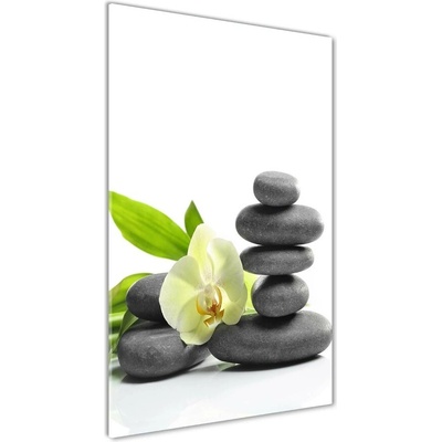 Vertikálny foto obraz sklo tvrdené Orchidea a kamene 50x100 cm