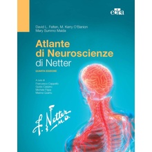 Atlante di neuroscienze di Netter