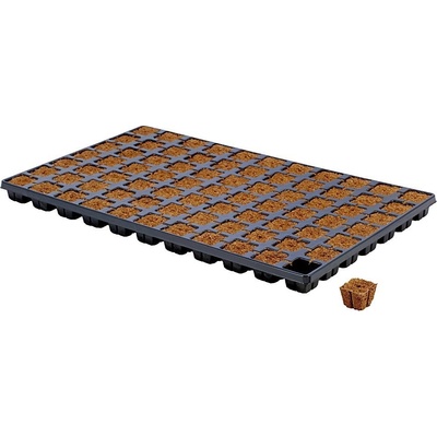 HGA Garden CT77 Tray + Eazy Plug, sadbovací kostky v sadbovači