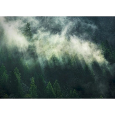 Komar Vliesová fototapeta Misty Crowns rozměry 350 x 250 cm