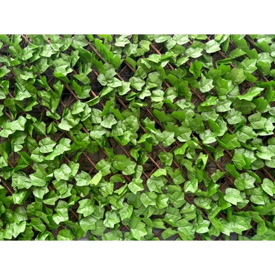 NIKA Декоративна ограда Хармоника uv светлозелен БРЪШЛЯН 1.0х2.0 м (mz sl04001)