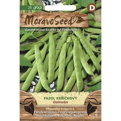Fazuľa kríčková DALMATIN MoravoSeed