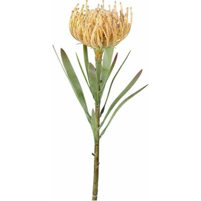 Umelý kvet (výška 43 cm) Protea – Ego Dekor