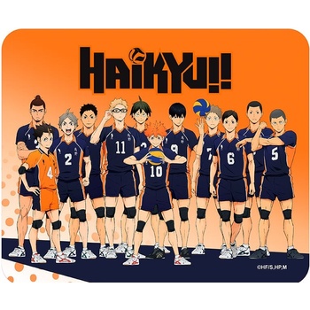 ABYstyle Haikyu! Karasuno Team (ABYACC516)