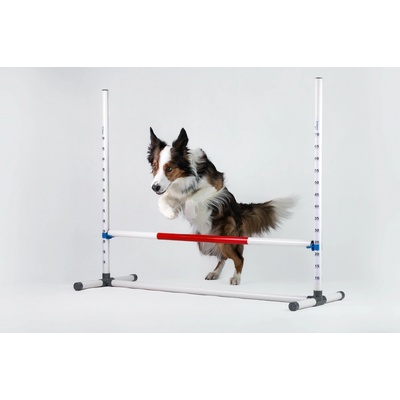 D'animo concept Tréninková agility rally obedience skoková překážka červená