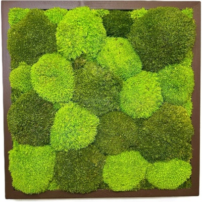 Mechový obraz - Kopečkový čtverec Velikost: 50cm x 50cm