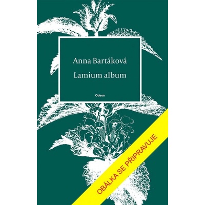 Lamium album - Anna Bartáková