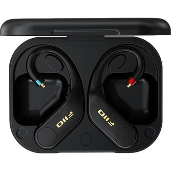 FiiO FW5