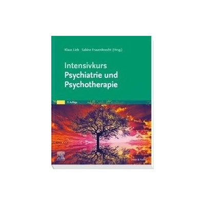 Intensivkurs Psychiatrie und Psychotherapie Paperback