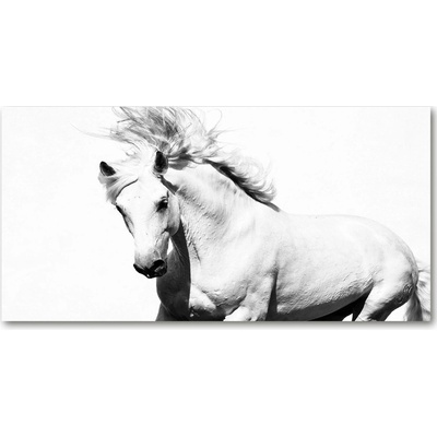 Foto-obraz fotografie na skle biely kôň 100x50 cm