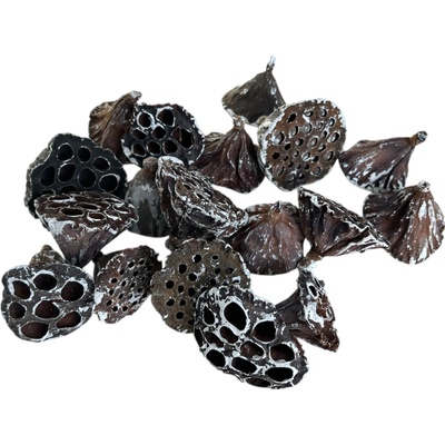Sušené Lotosové kvety 6–8 cm 11ks - zabielené