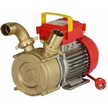 Rover BE-M 50 2,1 kW