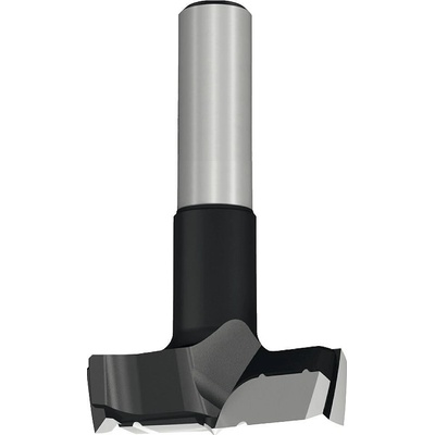 IGM C31735041