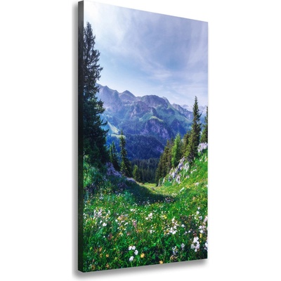 Vertikálny foto obraz tlačený na plátne Alpy 50x100 cm