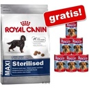 Royal Canin Maxi Ageing 8+ 15 kg