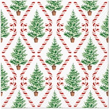 PAW Obrúsky L Candy Cane Forest 33x33cm