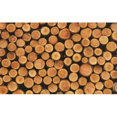 ForWall Fototapeta Drevo vlies 208 x 146 cm