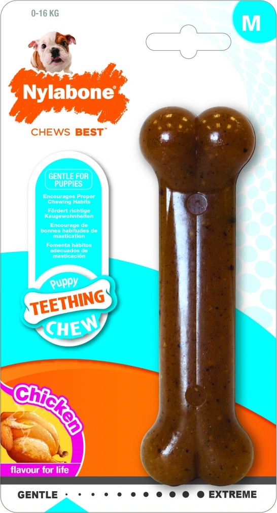 Nylabone Puppybone M