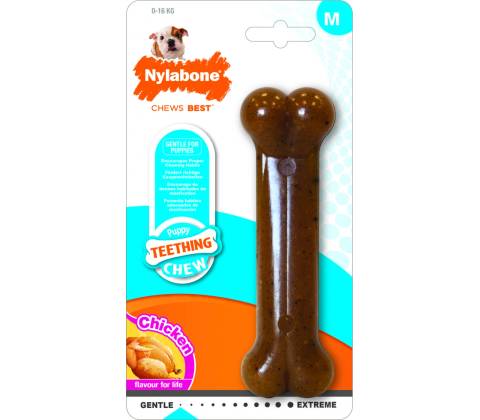 Nylabone Puppybone M