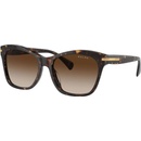 Ralph Lauren RA5310U 500313