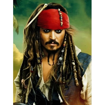 Norimpex diamantové malováníPirát Jack Sparrow 30 x 40 cm – Zbozi.Blesk.cz