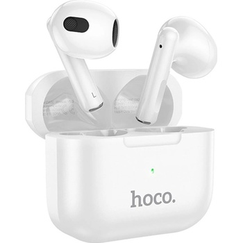 Hoco EW30