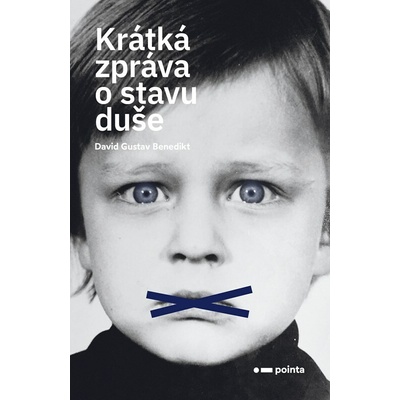 Krátká zpráva o stavu duše - David Gustav Benedikt