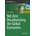 Net Zero: Decarbonizing the Global Economies