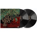 Lamb Of God Ashes Of The Wake 2LP