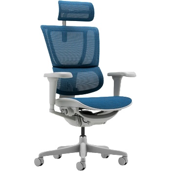 Ergohuman Ергономичен стол ergohuman ioo ultra - сива рамка - син (3520675)