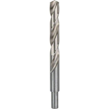 Bosch 2608585595
