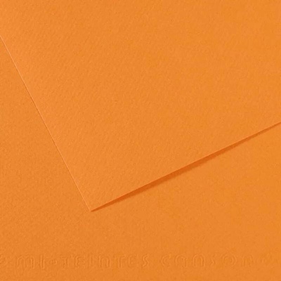 Canson Mi-Teintes barevný papír 21 x 29,7 cm A4 48 odstínů 384 Buff