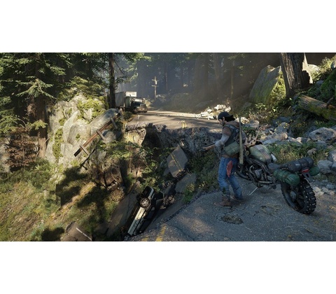 Days Gone