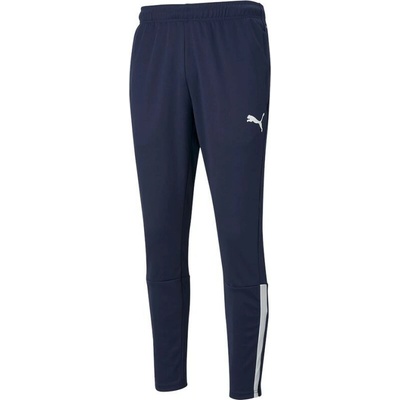 Puma Pánské tréninkové kalhoty 17608900