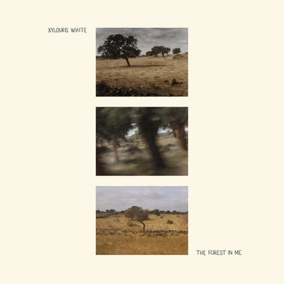 XYLOURIS WHITE - FOREST IN ME CD